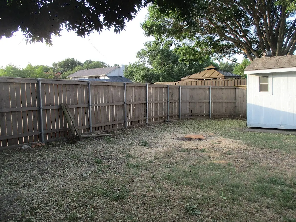 Cleared yard after professional tree removal in White Springs